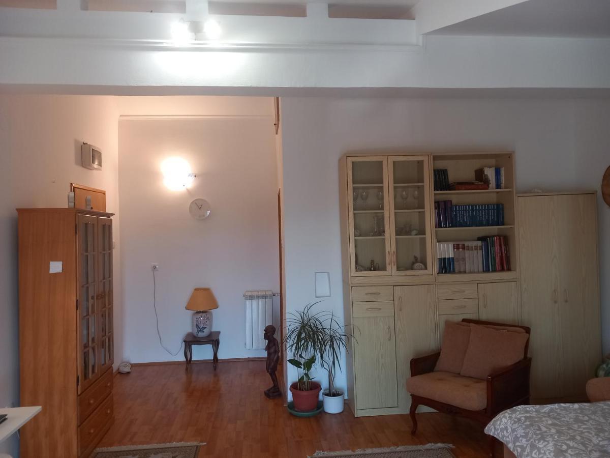 Cosy Rooftop Studio With Balcony Belgrado Exterior foto